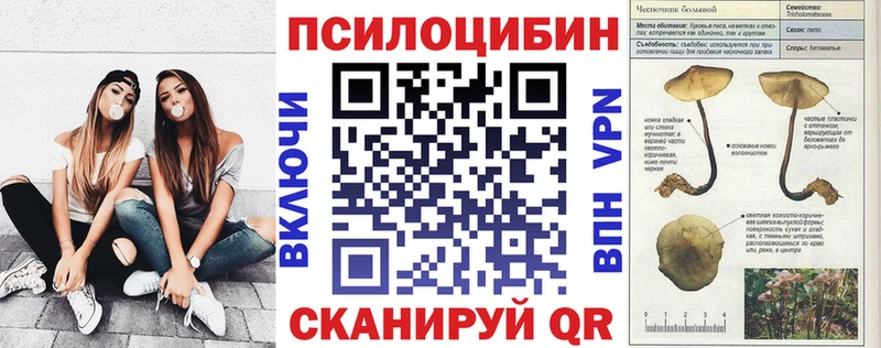 Галлюциногенные грибы ЛСД цена Олонец